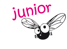 Wallraf Junior